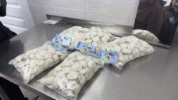 ВЕТЕРИНАРИЯ ТАРМАГЫНА ЖАШТАР ТАРТЫЛУУДА