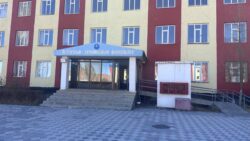 ВЕТЕРИНАРИЯ ТАРМАГЫНА ЖАШТАР ТАРТЫЛУУДА