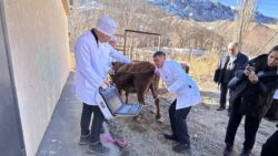 ВЕТЕРИНАРИЯ ТАРМАГЫНА ЖАШТАР ТАРТЫЛУУДА