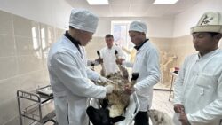 ВЕТЕРИНАРИЯ ТАРМАГЫНА ЖАШТАР ТАРТЫЛУУДА