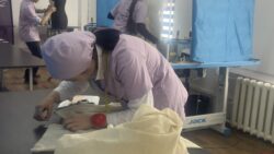 WORLDSKILLS ЧЕМПИОНАТЫНЫН ЖЕҢҮҮЧҮЛӨРҮ