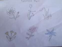 ЧЫГАРМАЧЫЛ БАЛДАР СЫЙЛАНЫШАТ