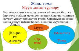 Муун жана анын түрлөрү