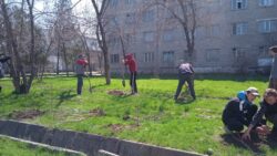 КЕСИПТИК ЛИЦЕЙЛЕР ӨЛКӨНҮ ЖАШЫЛДАНДЫРУУДА