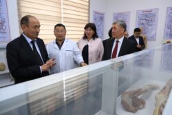 КЫРГЫЗСТАНДА БИРИНЧИ ЖОЛУ БООР АЛМАШТЫРУУ ОПЕРАЦИЯСЫ ОШМУДА ЖАСАЛАТ