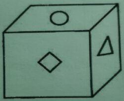 Көлөмдүү фигуралар. Куб, параллелепипед