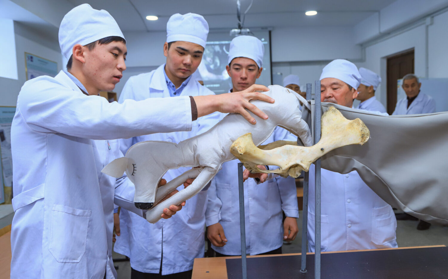 СУЛТАН ИБРАИМОВ атындагы АГРОТЕХНИКАЛЫК КОЛЛЕДЖИ