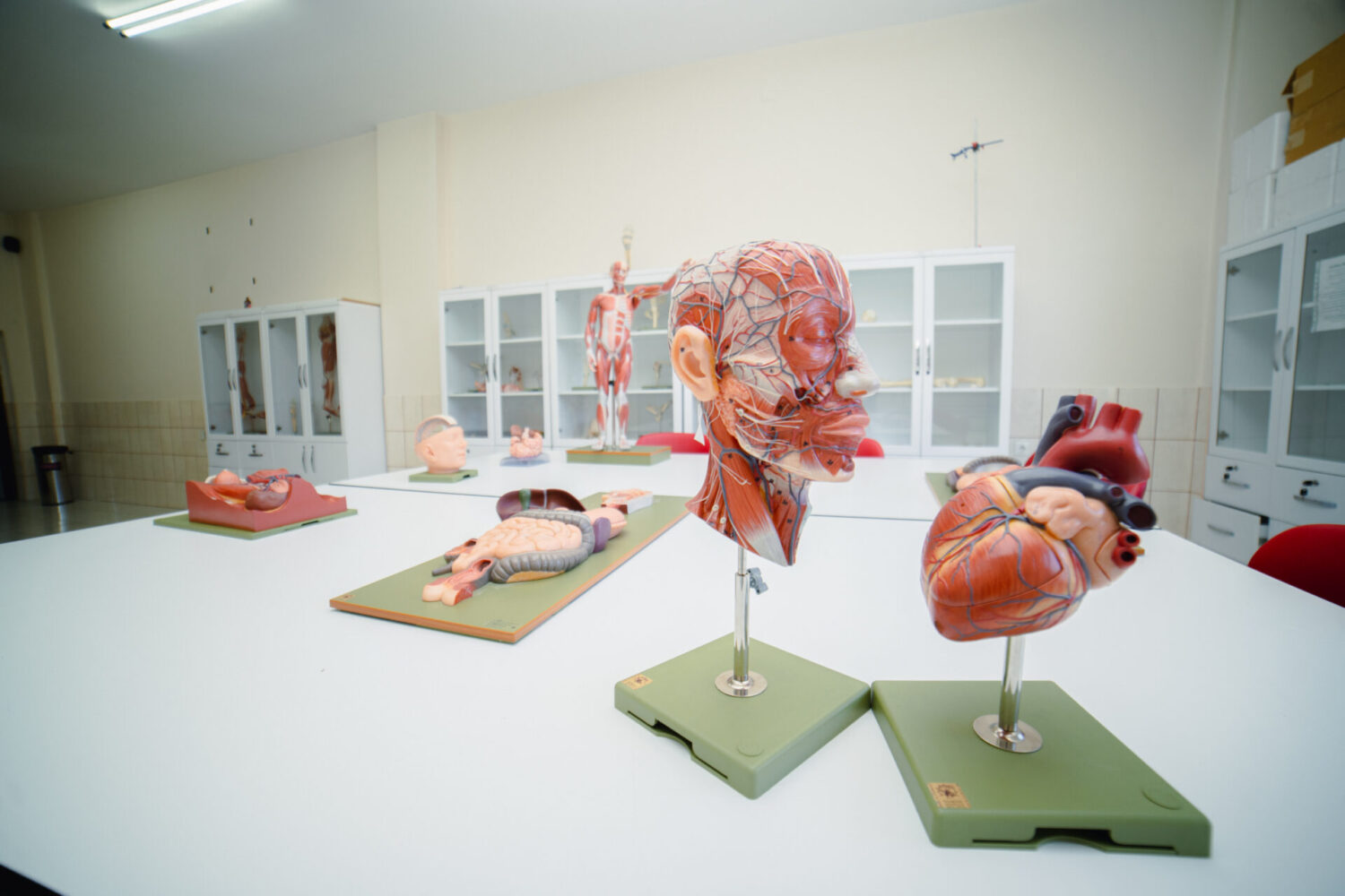 7 ПРЕИМУЩЕСТВ ПОСТУПЛЕНИЯ В МЕЖДУНАРОДНЫЙ УНИВЕРСИТЕТ “АЛА-ТОО”