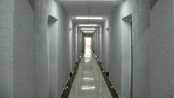 Кыргыз улуттук университетинин каражаты эки эсе өсүп, лидер сапка чыкты