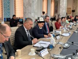 Кыргызстанда көп тилдүү билим берүү боюнча улуттук форум