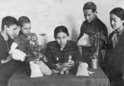 Ровесник страны: средней школе №24  имени А. Токомбаева исполняется 100 лет