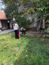 КМУнун студенттери карыялар үйүндө