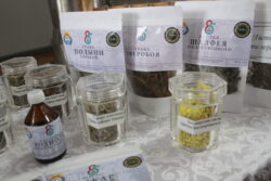 ИЛИМ: КЫРГЫЗСТАН ДҮЙНӨЛҮК РЕЙТИНГДЕ 127-ОРУНДА