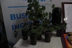 ИЛИМ: КЫРГЫЗСТАН ДҮЙНӨЛҮК РЕЙТИНГДЕ 127-ОРУНДА