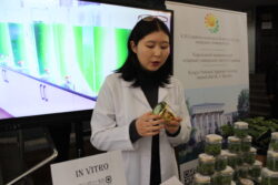 ИЛИМ: КЫРГЫЗСТАН ДҮЙНӨЛҮК РЕЙТИНГДЕ 127-ОРУНДА