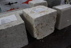 ИЛИМ: КЫРГЫЗСТАН ДҮЙНӨЛҮК РЕЙТИНГДЕ 127-ОРУНДА