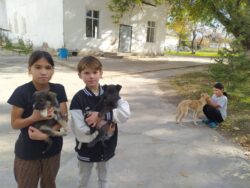 СТУДЕНТТЕР АЯЛУУ БАЛДАРГА КОЛ СУНДУ