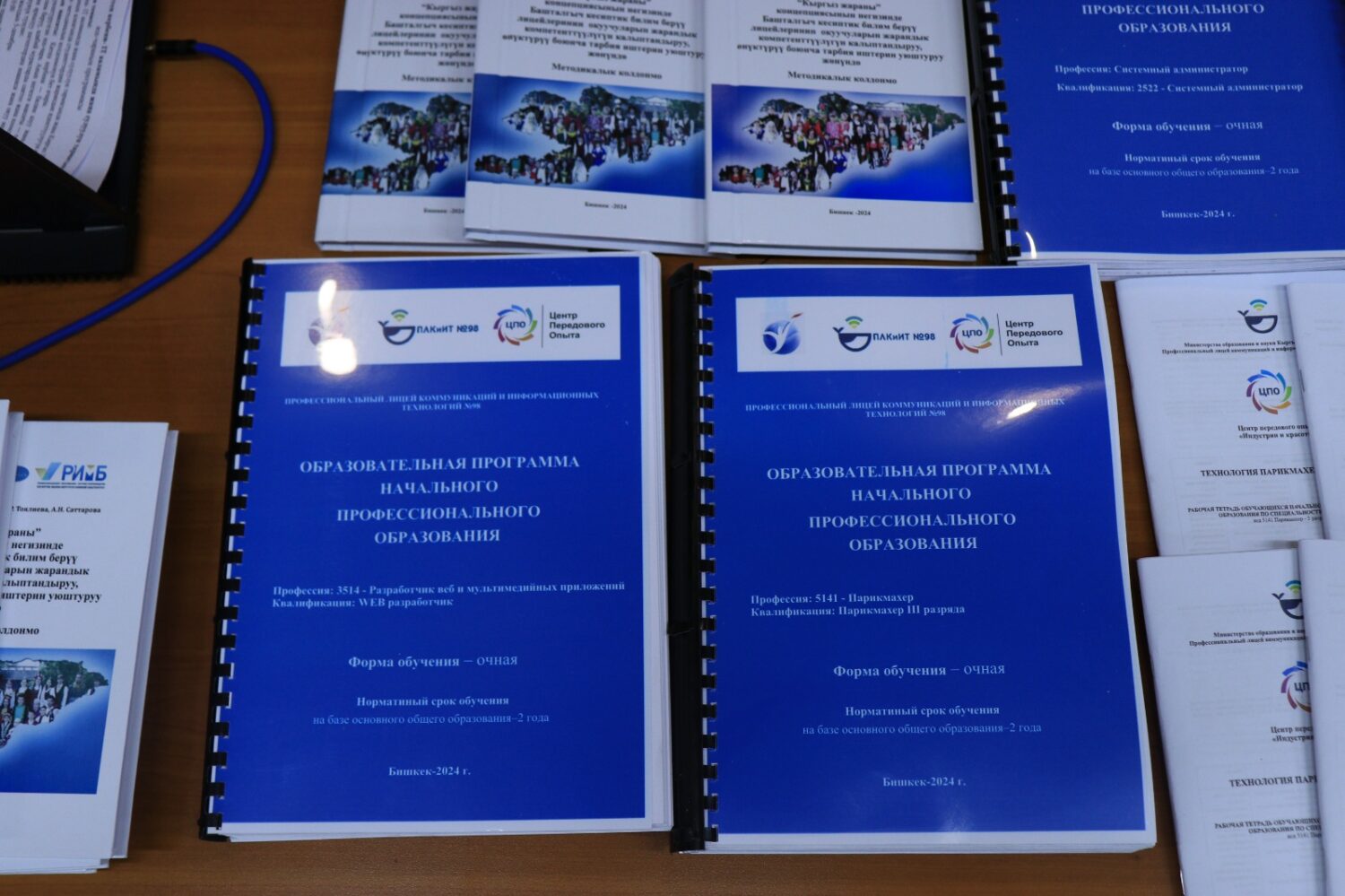 Башталгыч кесиптик билим берүү багытындагы методикалык колдонмо