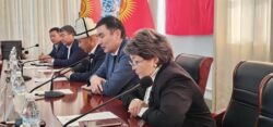 Жети-Өгүз району үчүн энергетикалык долбоорду КМТУ ишке ашырат
