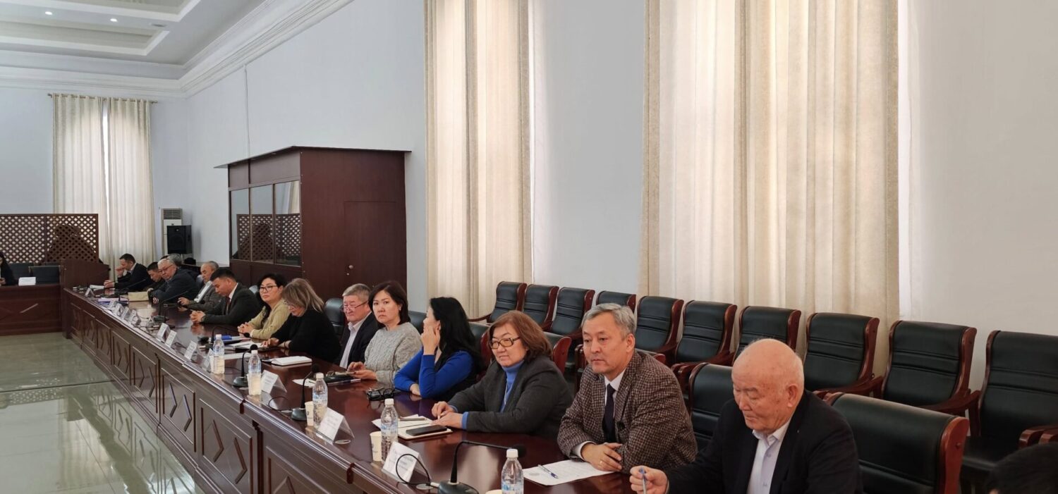 Жети-Өгүз району үчүн энергетикалык долбоорду КМТУ ишке ашырат