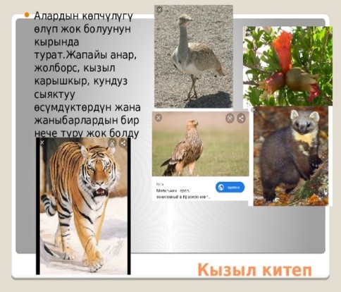Сейрек кездешкен жана жоголуп бара жаткан өсүмдүктөр менен жаныбарлар