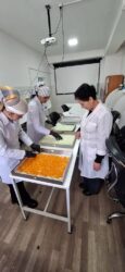 ТЕОРИЯ МЕНЕН ПРАКТИКАНЫ АЙКАЛЫШТЫРУУ