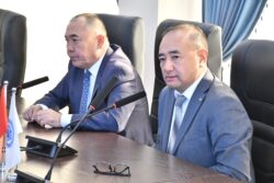 Университет аралык кызматташтык