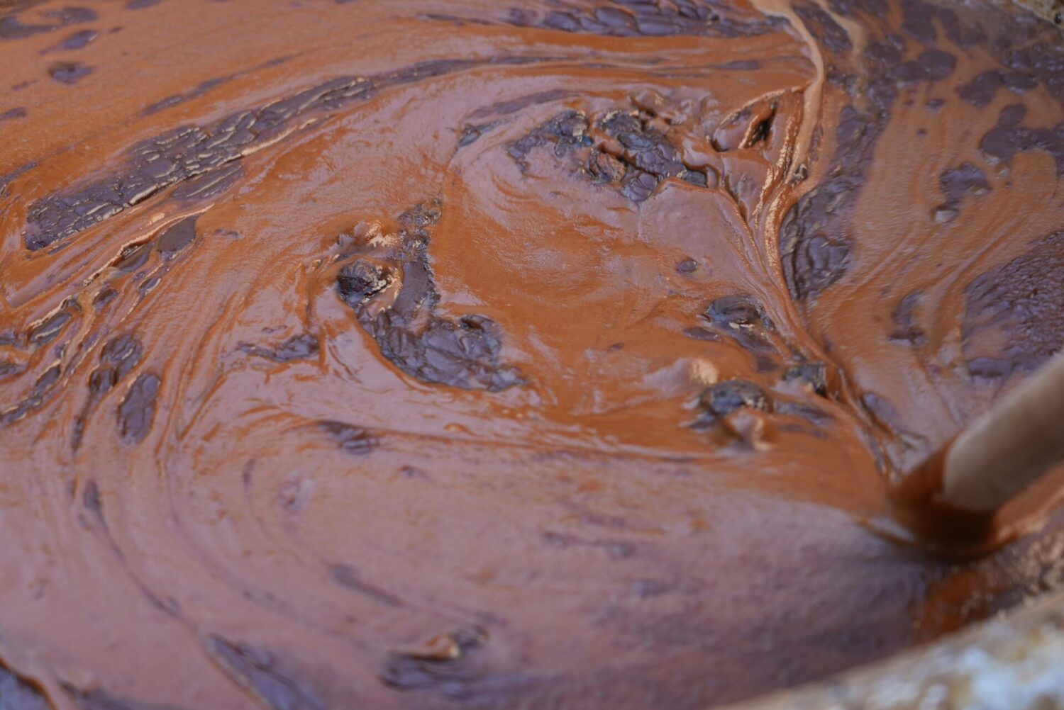 ЖОЖдор Нооруз майрамын белгилөөдө