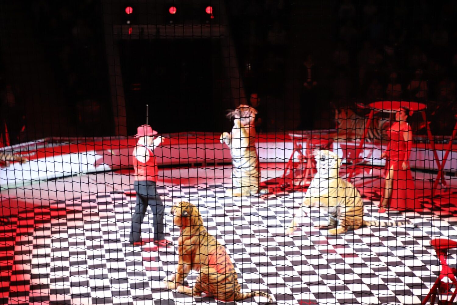 БАЛ ЖУУРАН БАЛАЛЫК