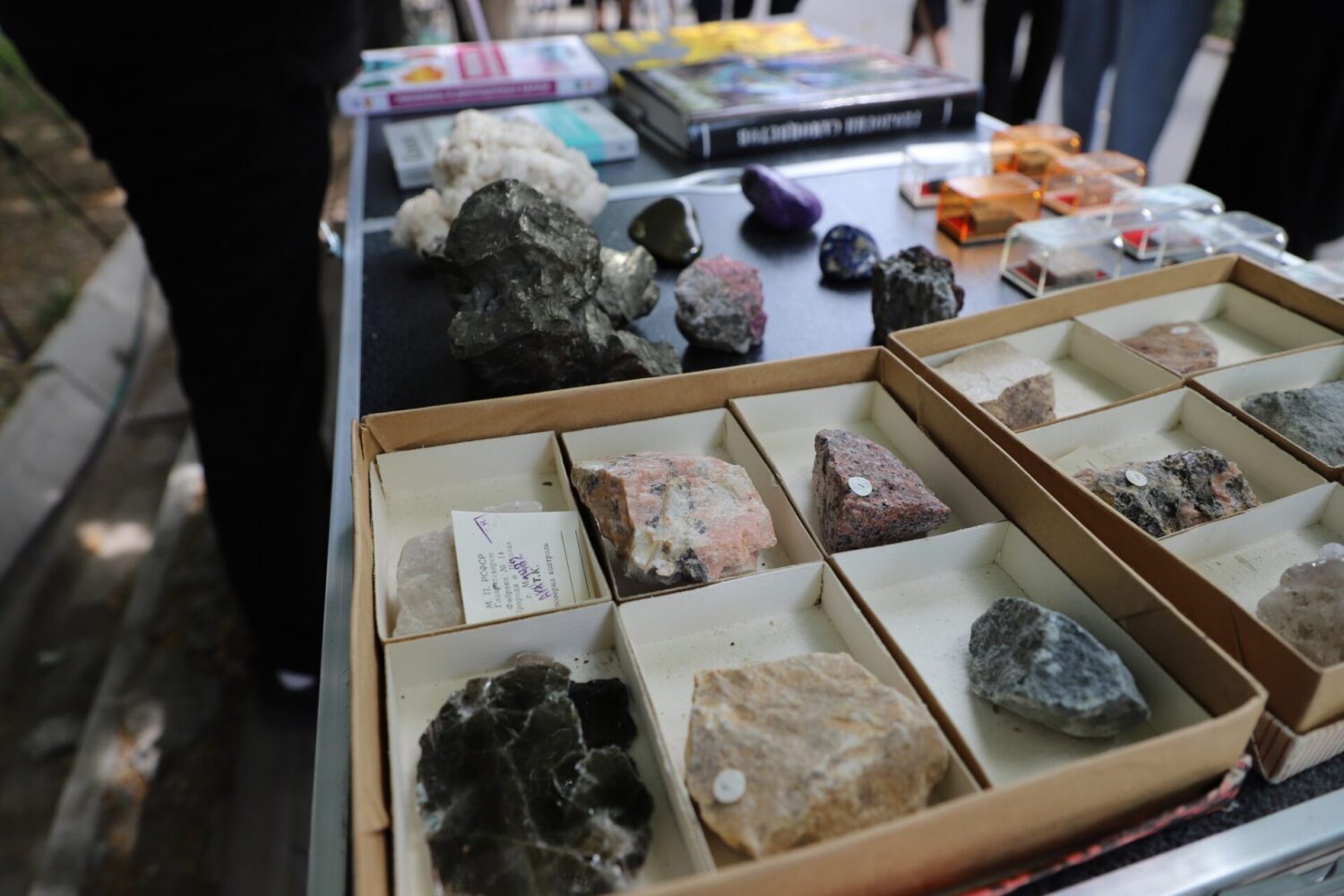 БАЛ ЖУУРАН БАЛАЛЫК