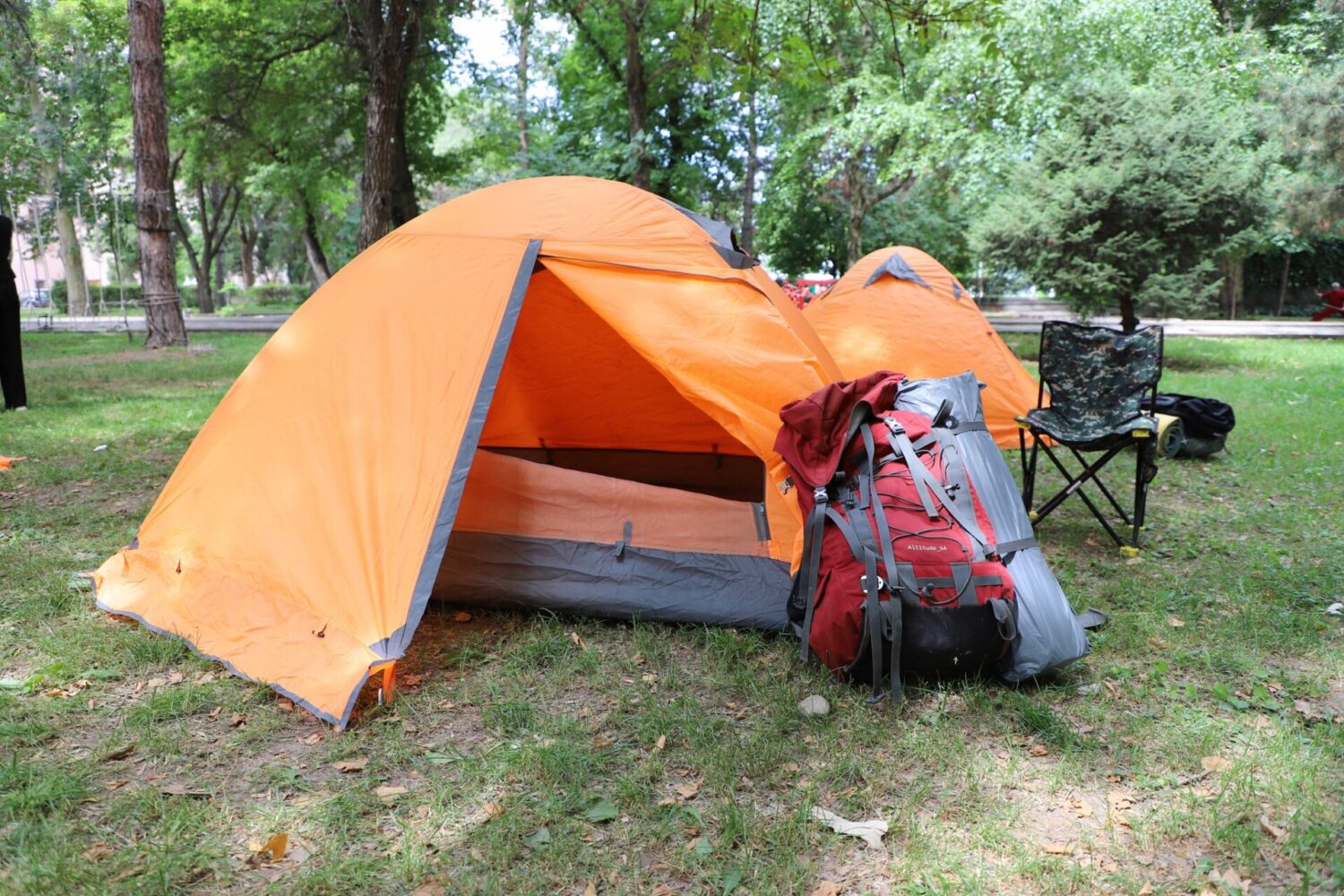 БАЛ ЖУУРАН БАЛАЛЫК