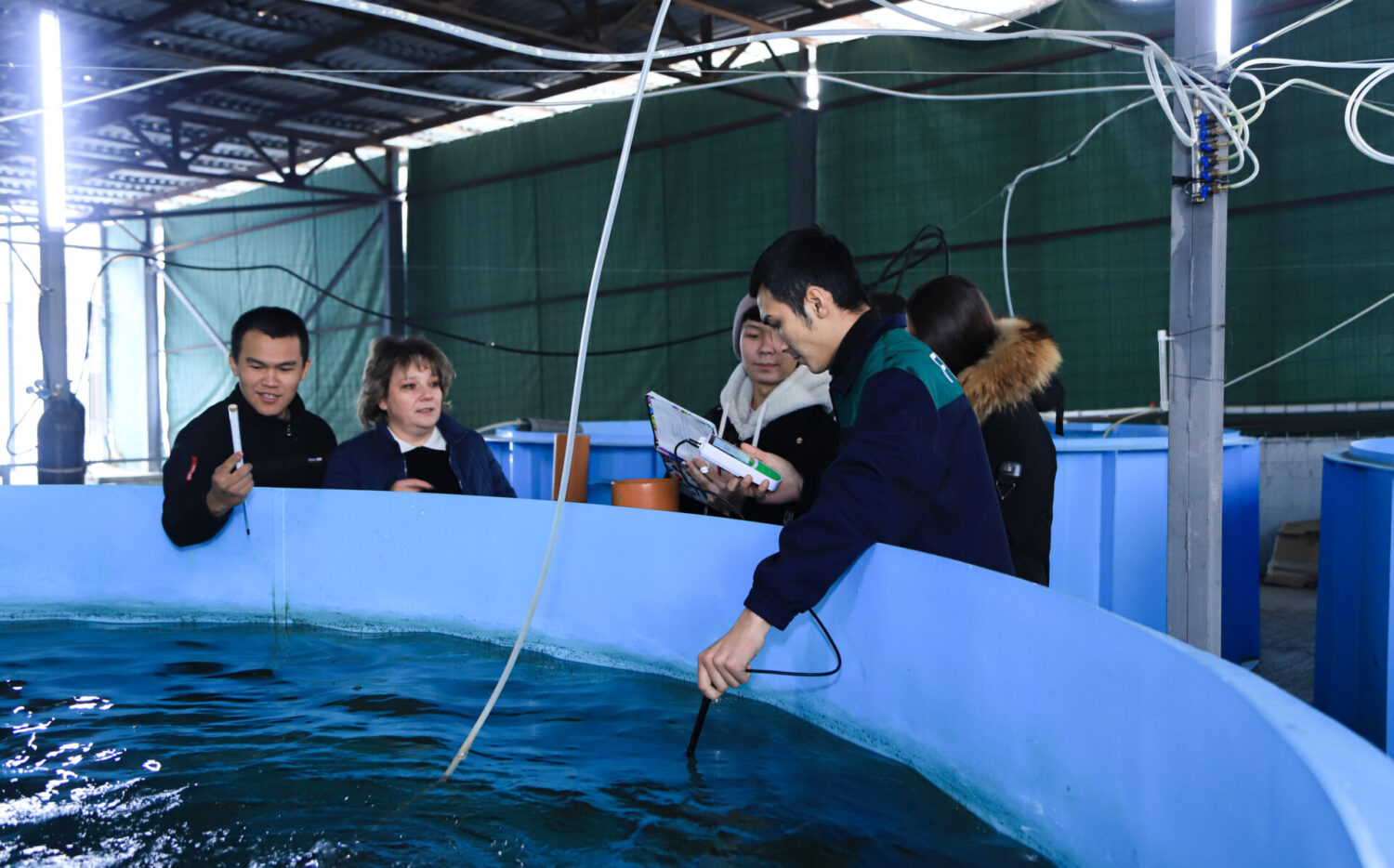 К.И.Скрябин атындагы Кыргыз улуттук агрардык университетине караштуу СУЛТАН ИБРАИМОВ атындагы АГРОТЕХНИКАЛЫК КОЛЛЕДЖИ
