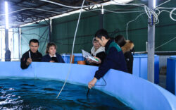 К.И.Скрябин атындагы  Кыргыз улуттук агрардык университетине караштуу СУЛТАН ИБРАИМОВ атындагы АГРОТЕХНИКАЛЫК КОЛЛЕДЖИ