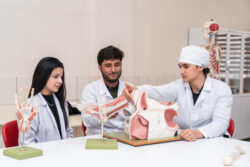 “АЛА-ТОО” ЭЛ АРАЛЫК УНИВЕРСИТЕТИНДЕ АНГЛИС ТИЛИНДЕ ЖОГОРКУ БИЛИМ АЛ!