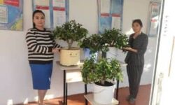 ЧАКАН МЕКТЕПТЕ АТКАРЫЛГАН АЛБАН ИШТЕР