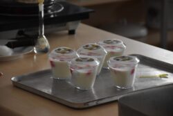 Бишкекте PECA долбоору жыйынтыкталды 