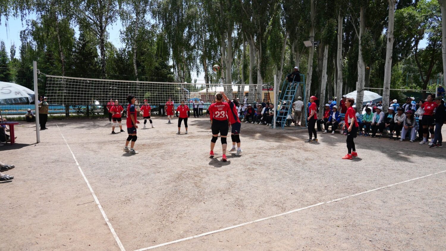 «Ден соолук» спартакиадасы: окутуучулар күч сынашууда