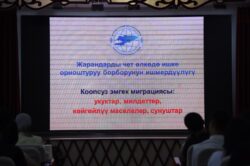 МИГРАЦИЯ МЫЙЗАМДАРЫН БИЛЕСИЗБИ?