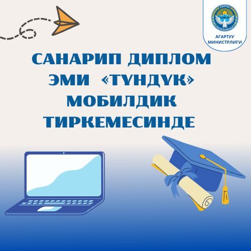 Д. КЕНДИРБАЕВА: «САНАРИПТИК ДИПЛОМДОРДУ КИРГИЗҮҮ – БИЛИМ БЕРҮҮНҮН САНАРИПТИК ИНФРАСТРУКТУРАСЫН КУРУУДАГЫ МААНИЛҮҮ КАДАМ»