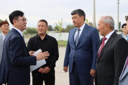 ҮРӨНДҮН ТҮШҮМДҮҮЛҮГҮН ЖАНА САПАТЫН ЖОГОРУЛАТКАН БОРБОР