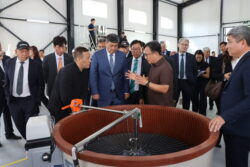 ҮРӨНДҮН ТҮШҮМДҮҮЛҮГҮН ЖАНА САПАТЫН ЖОГОРУЛАТКАН БОРБОР