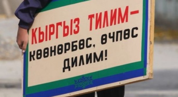 ТАМЫРЫ ТЕРЕҢ, КӨЙГӨЙҮ КӨП КЫРГЫЗ ТИЛ