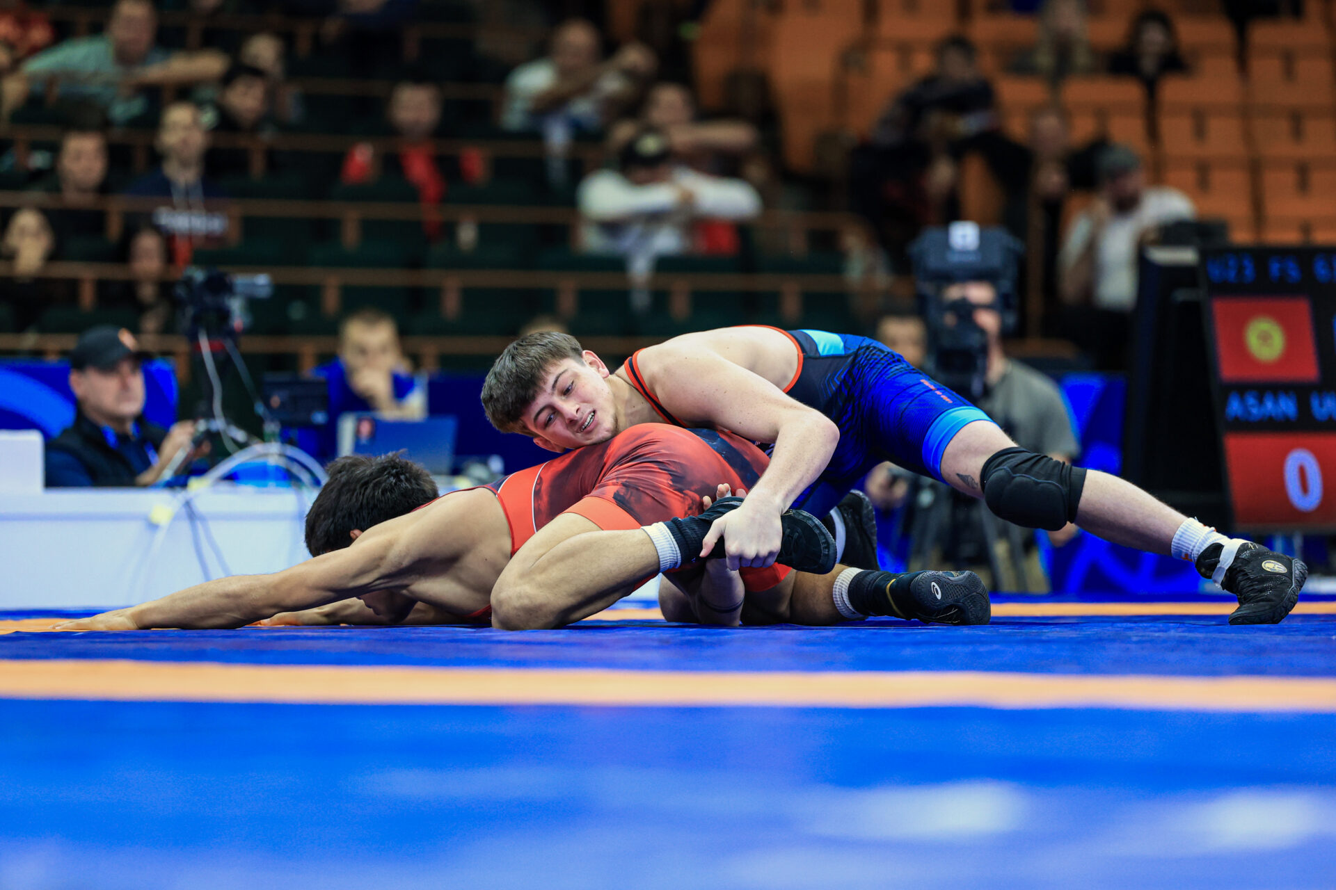 ӨМҮРБЕКТИН АЛТЫНГА ТЕТЕ КҮМҮШҮ, БИЛОЛДУН КОЛО БАЙГЕСИ