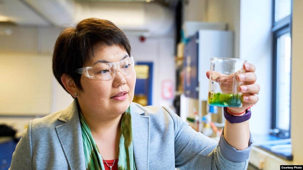 ИЛИМ ТАРМАГЫНДАГЫ САРТБАЕВДЕРДИН ДИНАСТИЯСЫ