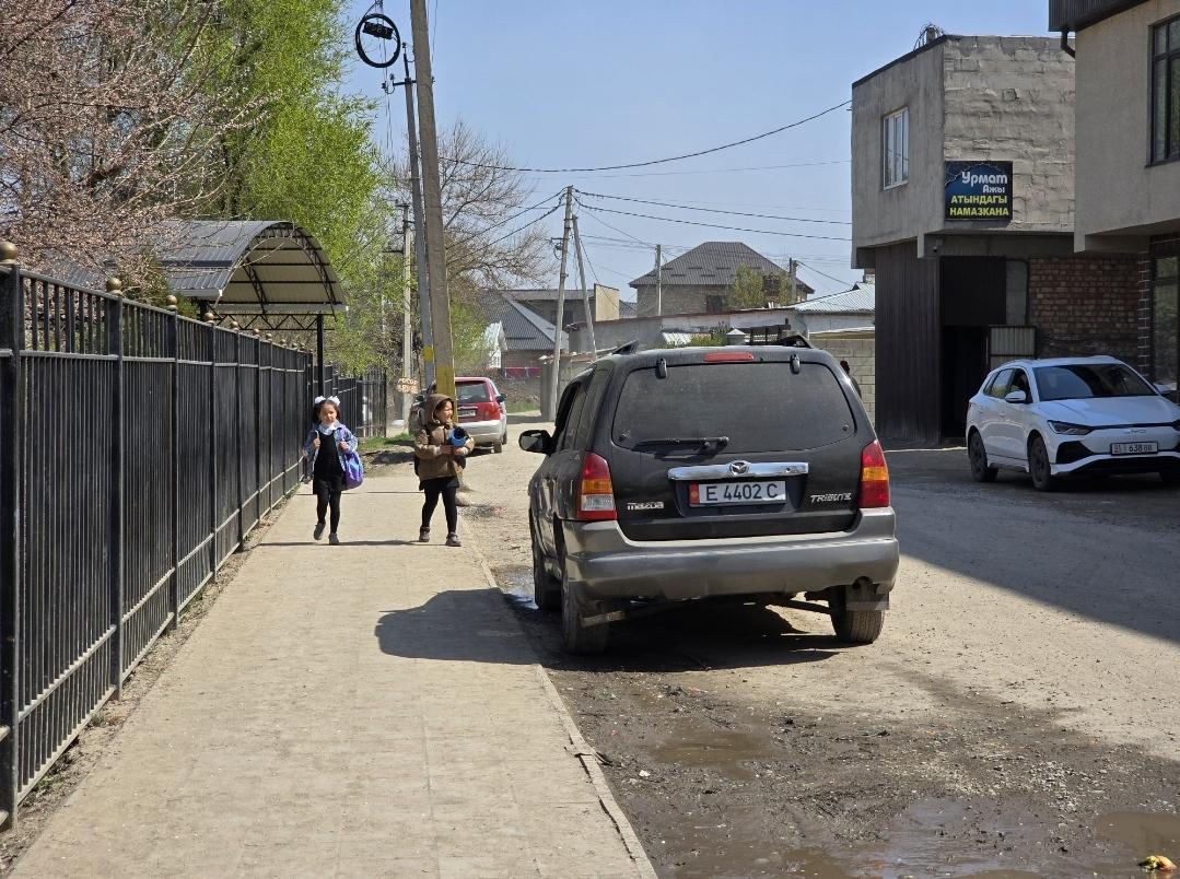 Безопасность дорожного движения: отчет о тактической интервенции