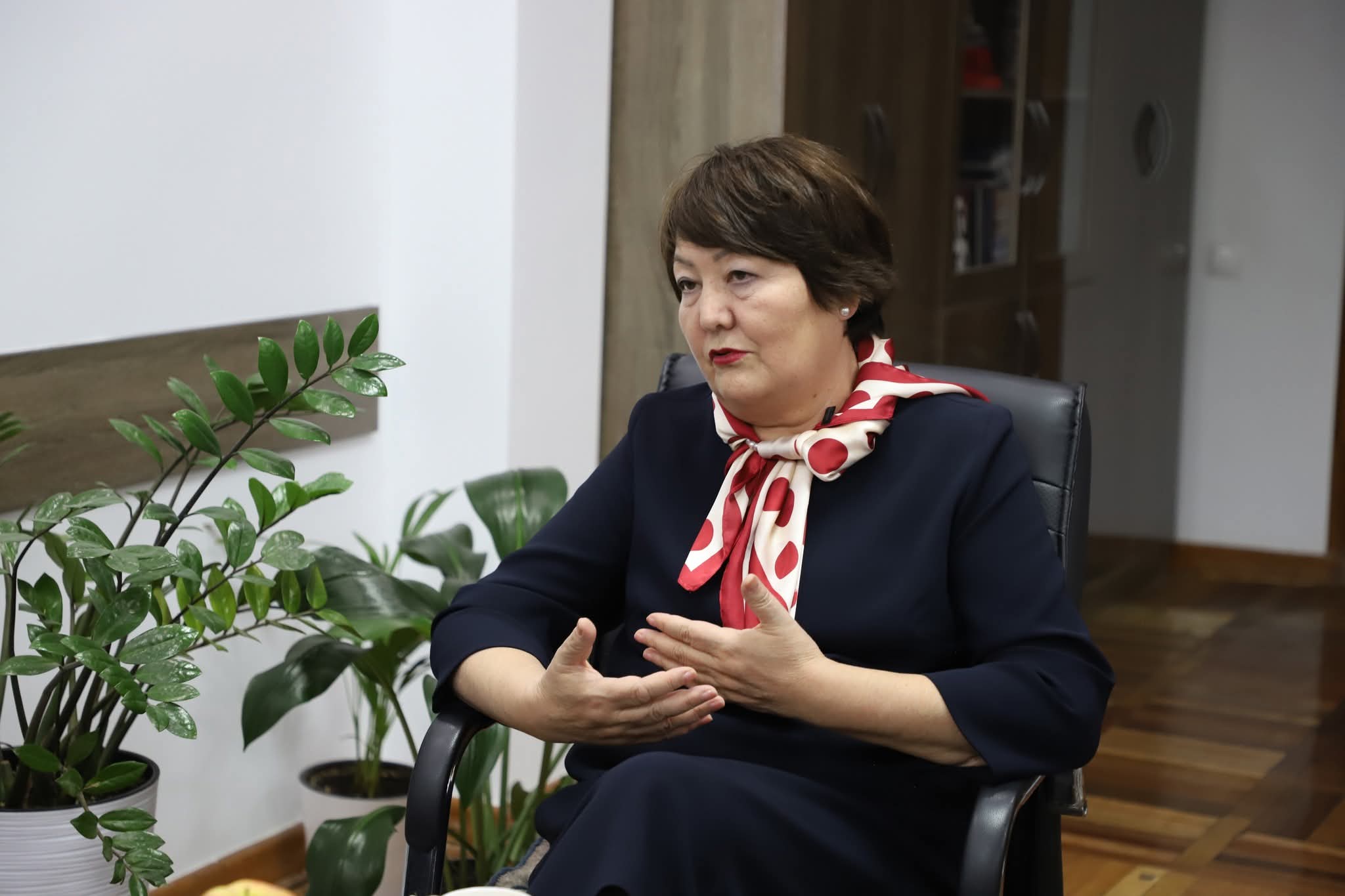 КЫРГЫЗСТАН МЕНЕН ФРАНЦИЯ БИЛИМ БЕРҮҮ ТАРМАГЫНДАГЫ КЫЗМАТТАШТЫКТЫ КЕҢЕЙТЕТ