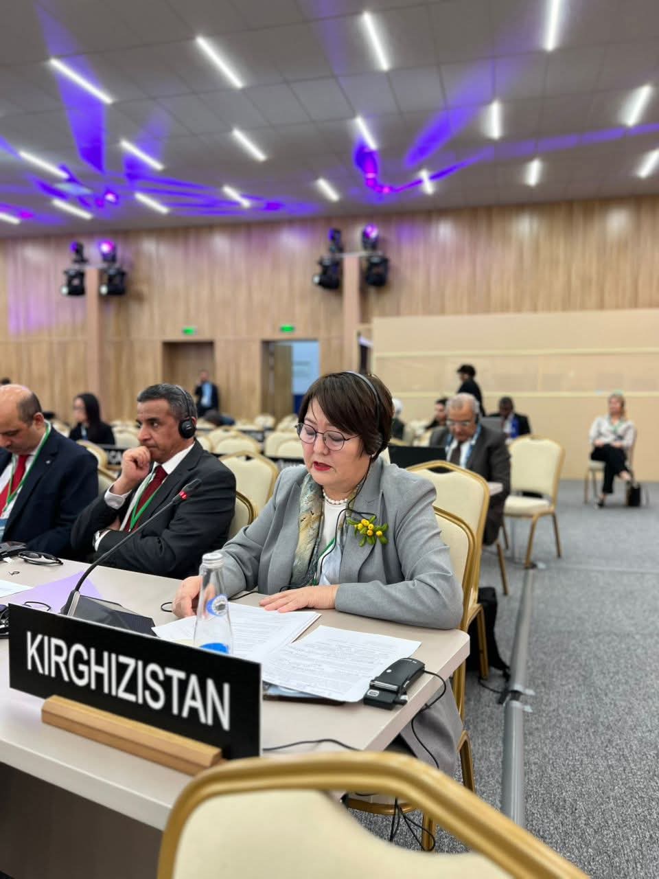 МИНИСТР ЮНЕСКОнун ЭЛ АРАЛЫК ТАЛКУУСУНДА СӨЗ СҮЙЛӨДҮ