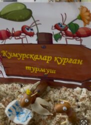 “Бир айга бир китеп” — ар айда жаңы дүйнөнү ачкан саякат!