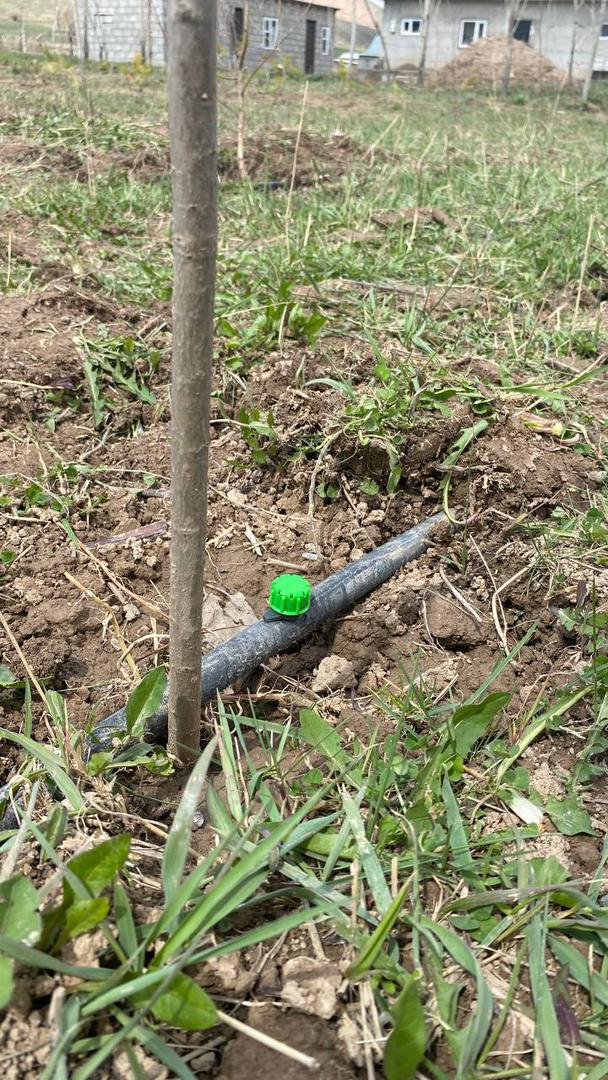 «АКВА» КЛУБ - ИННОВАЦИЯЛЫК БИЛИМ БЕРҮҮ МОДЕЛИ