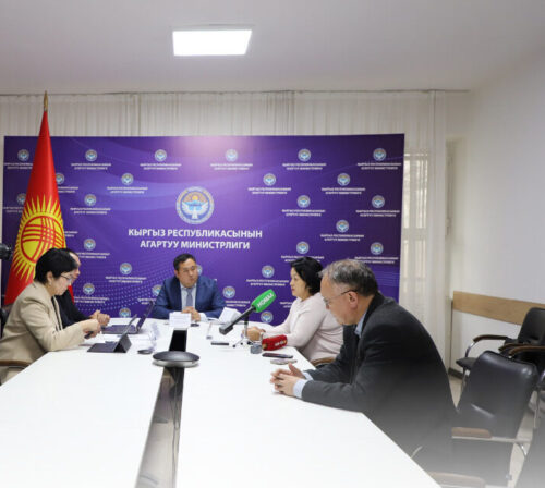 Бактыгүл АКУЛОВА: “ЖЕКЕ МЕНЧИК МЕКТЕПКЕ ЭЛЕКТРОНДУК ЛИЦЕНЗИЯ БЕРИЛЕТ”